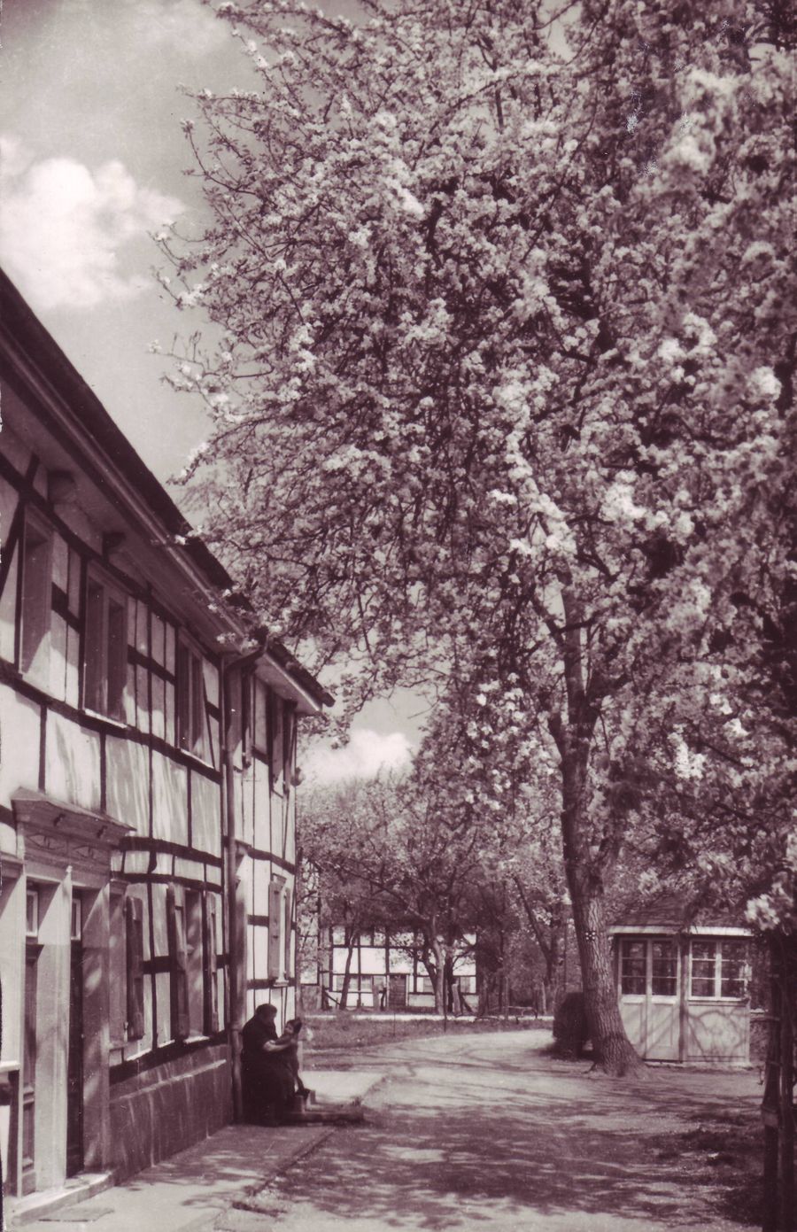 Bucherhofen ca 1955.JPG