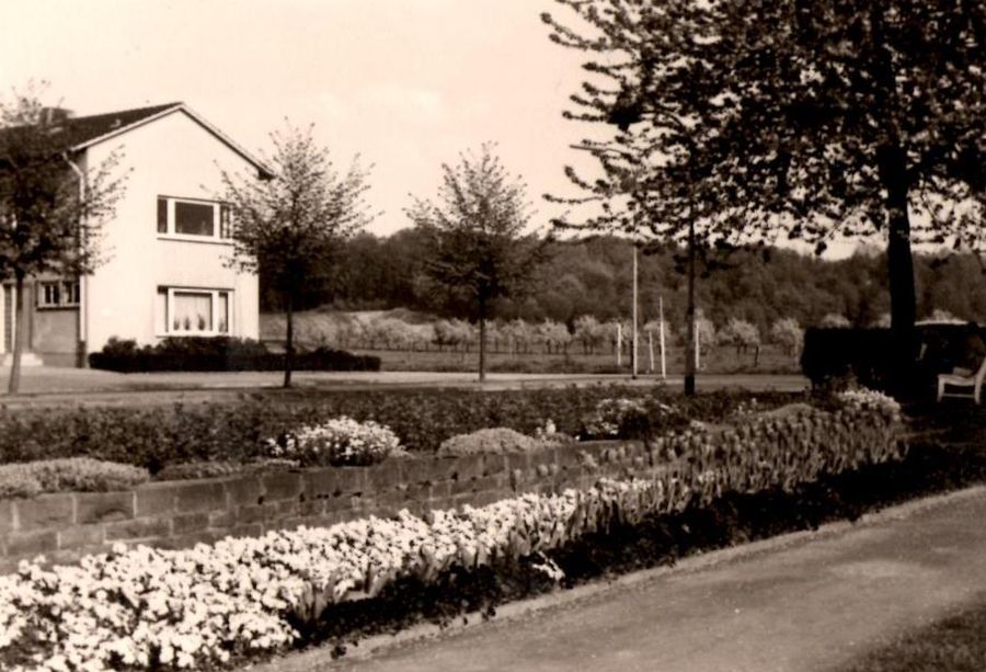Stadtparkca1955.jpg