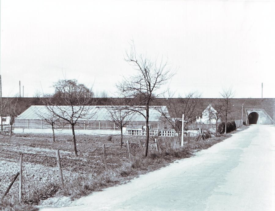 43 Moltkestrasse unterer Teil Gaertnerei Jansen 1955.jpg