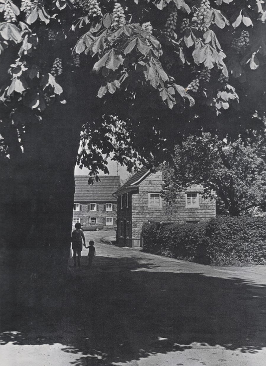 015 In der Meffert.jpg