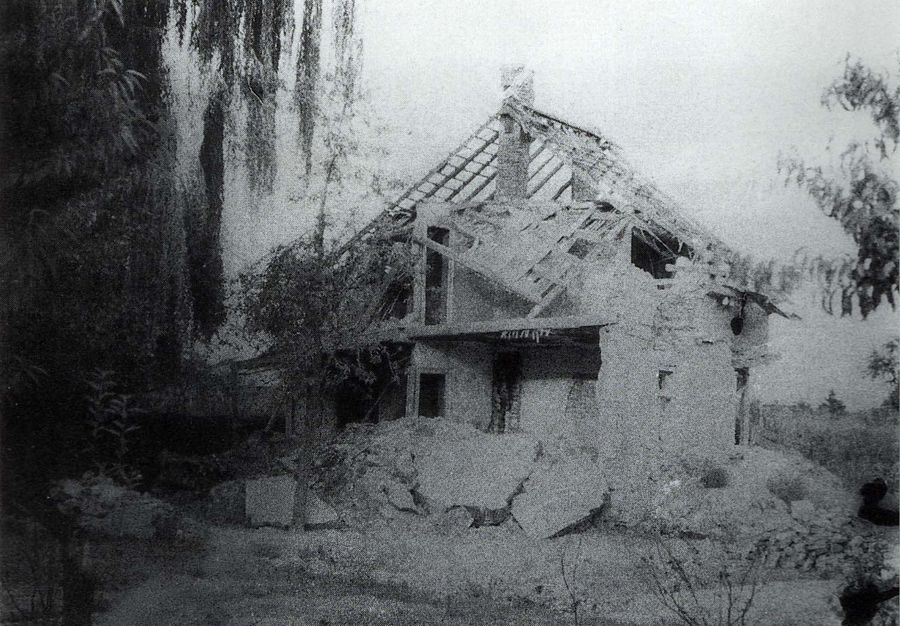 Tiergarten Wohnhaus.jpg