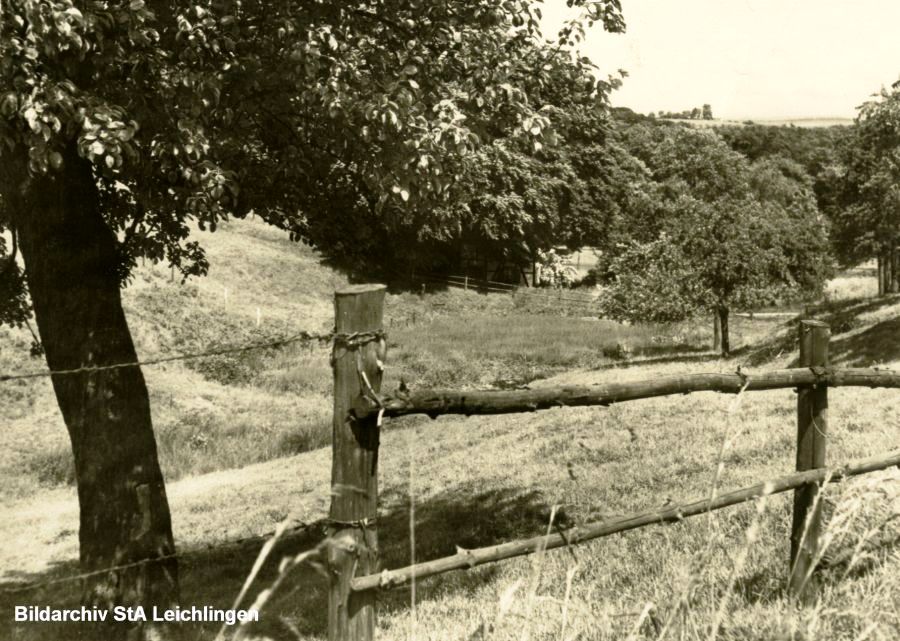 StA Leichlingen BA-1-00109.jpg