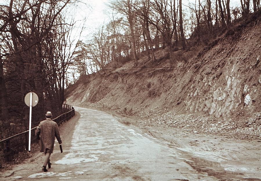 21 00002 Alte Holzer Str. bei Stegerhaeuschen 1965.jpg