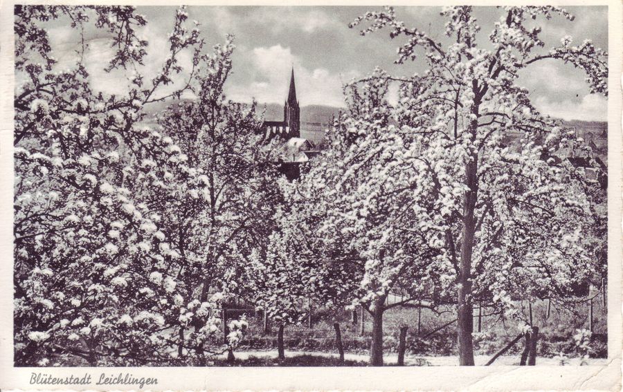 Blutenstadt ca 1955.JPG