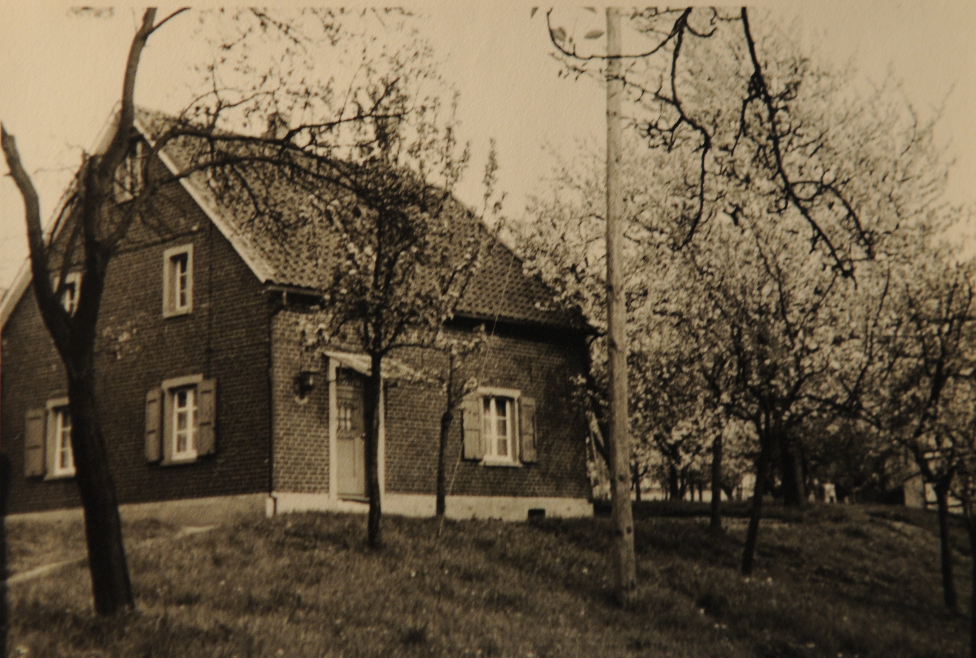 Huelstrung guenterschumacher ca1955.jpg