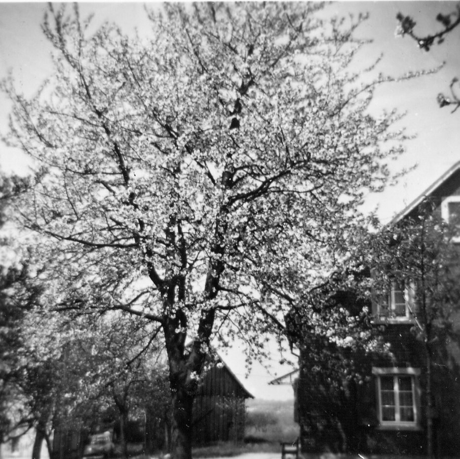 Huelstrung guenterschumacher ca1958.jpg