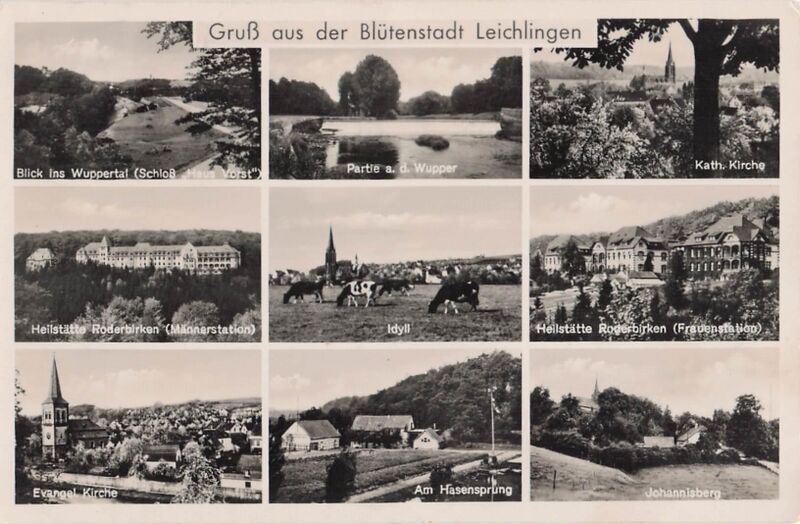 Datei:Blütenstadt Leichlingen018.jpg