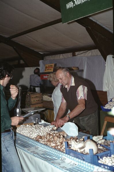 Datei:1976 Obstmarkt PilzstandMarseille.jpg