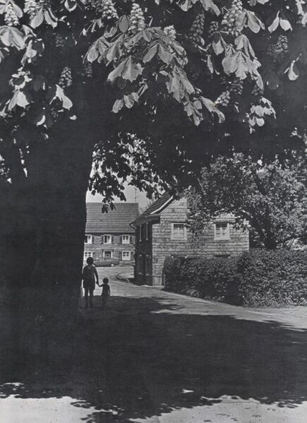 Datei:015 In der Meffert.jpg