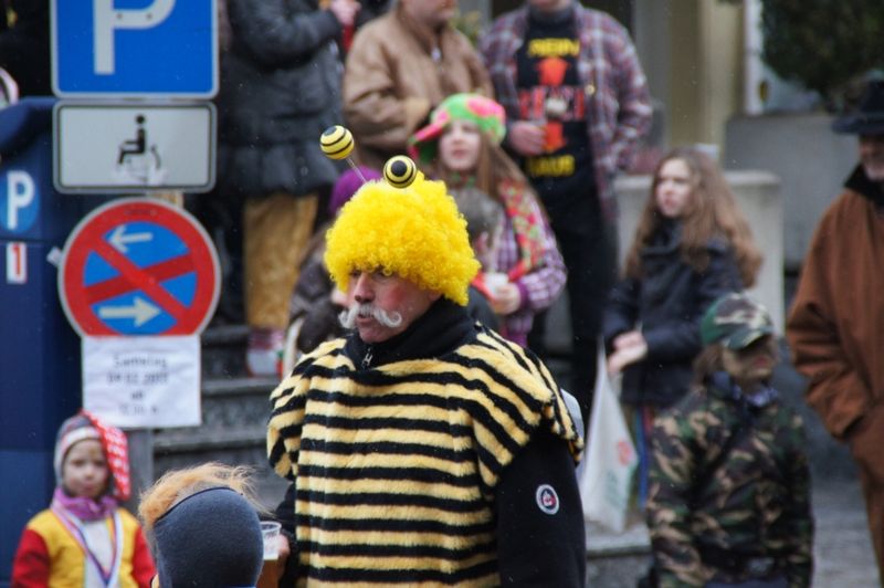 Datei:Karneval002.JPG