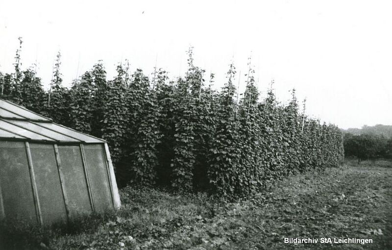 Datei:StA Leichlingen BA-1-00100.jpg