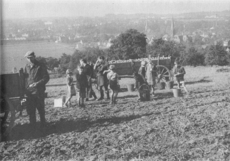 Datei:Johannisberg Kartoffelernte 1959.jpg